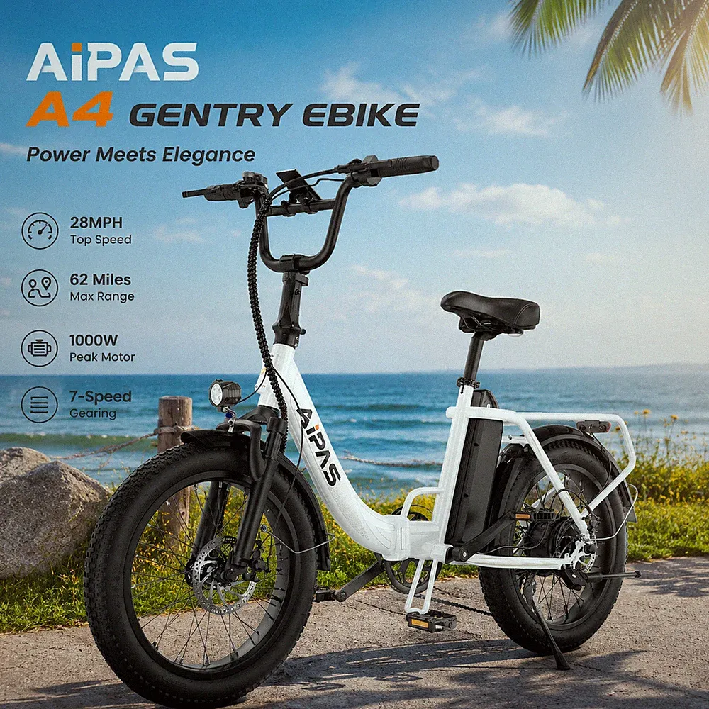 1000W Electric Bikes for Adults 1000W 28MPH 62Miles 20"Fat Tire Mountain Bicycle