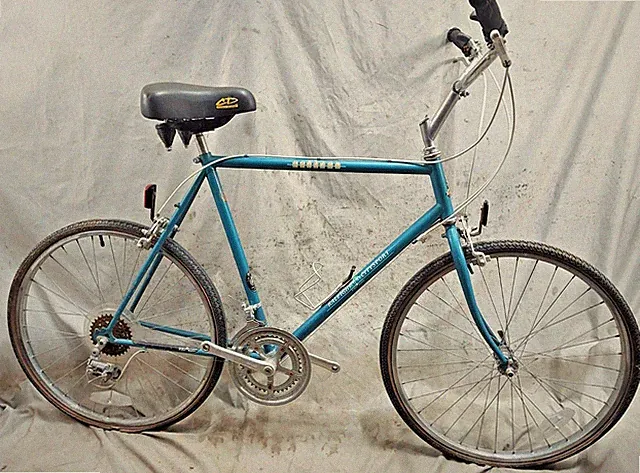 1985 Raleigh Citysport Horizon MTB Hybrid Bike 22" X-Large Steel Retro Commuter~