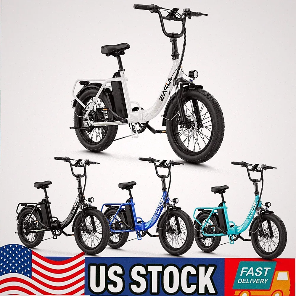 20"*3.0 Fat Tire Electric Bicycle for Adult 1000W 48V 12.8AH 7-Speed Ebike