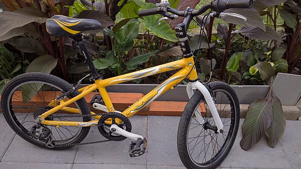 Super Light 22 lb Kids Bicycle 20" for Ages 8-12 - READ DESCRIPTION