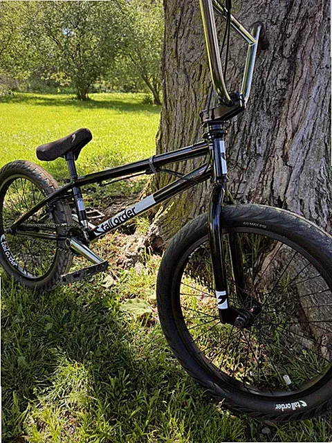 Tall Order Pro Park BMX Bike (20.6" Toptube) (Chrome) [00-TO115E-22]