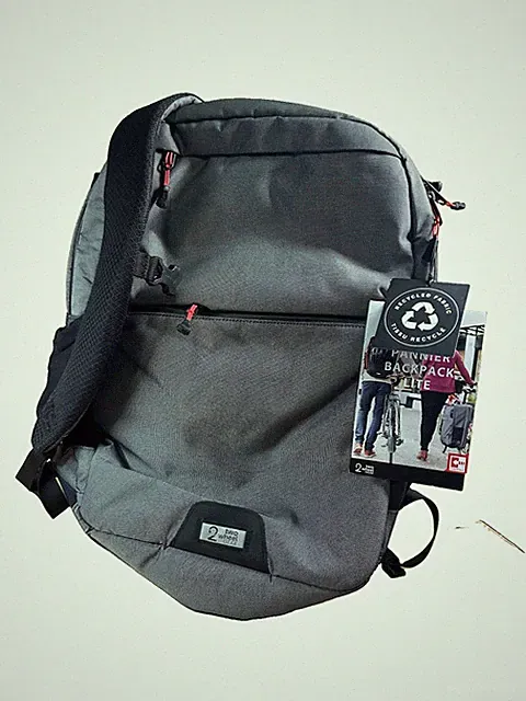 two wheel gear pannier lite backpack - Gray